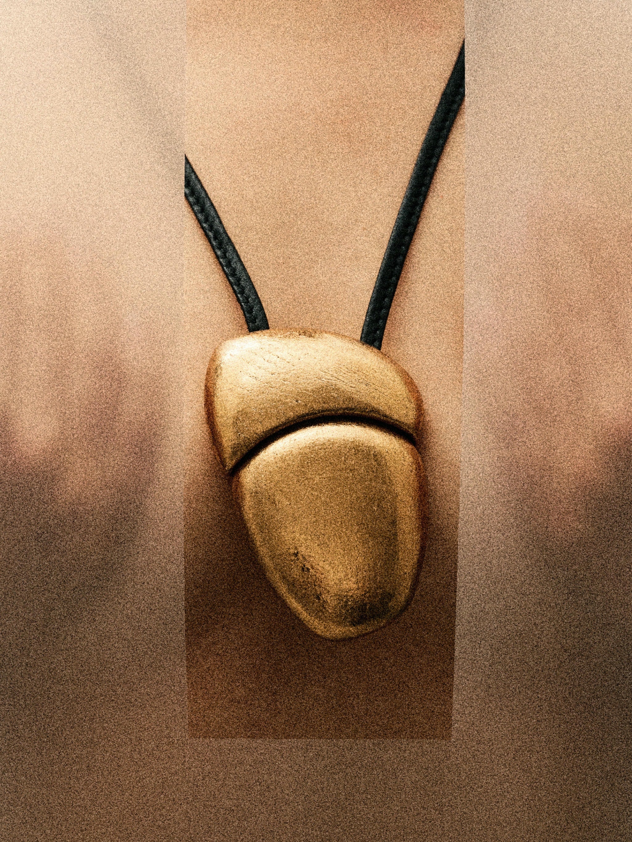 Aurena pendant: acacia, goldfoil - Image 4